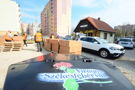 Virágos Székesfehérvár – mintegy 700 komposztkeretet oszt ki a Városgondnokság